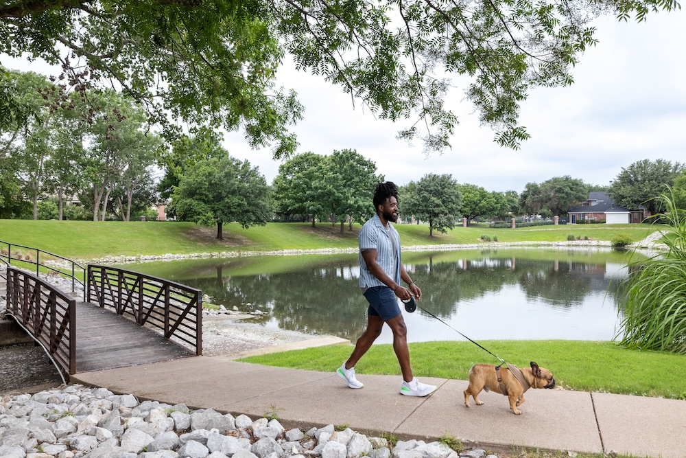  a man walking a dog